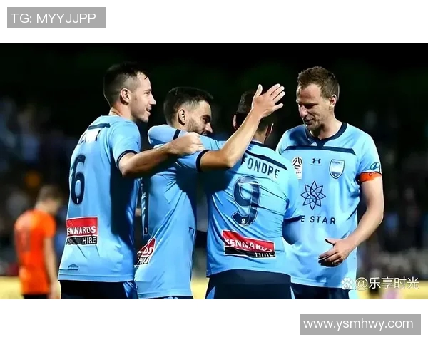 FC悉尼迎战惠灵顿凤凰争夺澳超联赛关键胜利之战 FC悉尼迎战惠灵顿凤凰争夺澳超联赛关键胜利之战