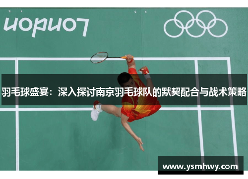 羽毛球盛宴：深入探讨南京羽毛球队的默契配合与战术策略