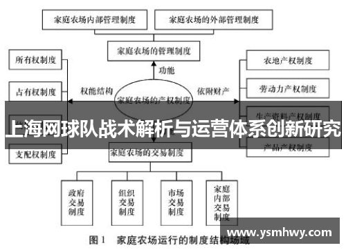 上海网球队战术解析与运营体系创新研究