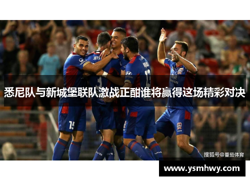 悉尼队与新城堡联队激战正酣谁将赢得这场精彩对决