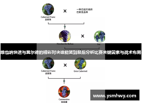维也纳快速与莫尔德的精彩对决谁能笑到最后分析比赛关键因素与战术布局